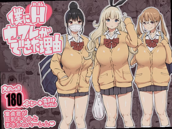 僕にハーレムセフレができた理由